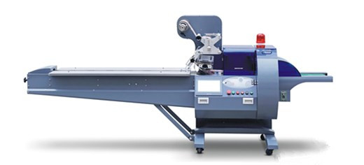 Impacchettatrice automatica orizzontale del cuscino del dolce del biscotto dell'impacchettatrice dell'alimento