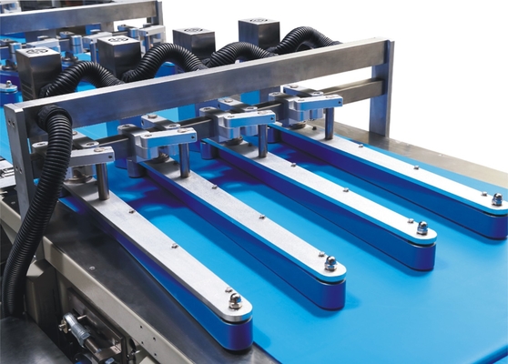 Catena di imballaggio automatica dell'alimento del biscotto del biscotto alimentazione della cialda del dolce e catena d'imballaggio della borsa