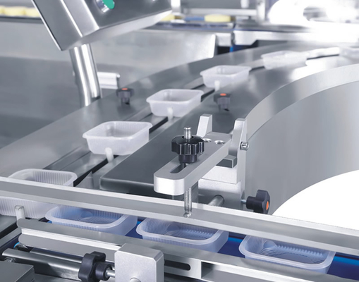 Pane orizzontale del dolce della catena di montaggio di imballaggio per alimenti della tazza che alimenta Tray Loading Packing
