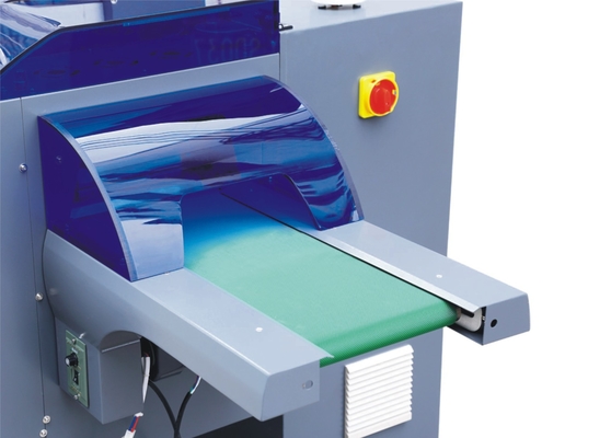 Impacchettatrice automatica orizzontale del cuscino del dolce del biscotto dell'impacchettatrice dell'alimento