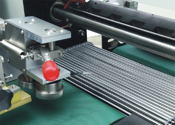 Guarnizione orizzontale dell'impacchettatrice del materiale di riempimento della forma dello SpA che trasporta i servomotori